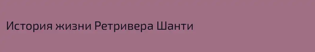 История жизни Ретривера Шанти